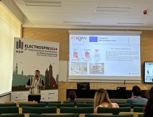 REBORN at the 8th International Conference on Electrospinning