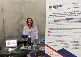 Reborn presentation at European Researchers night